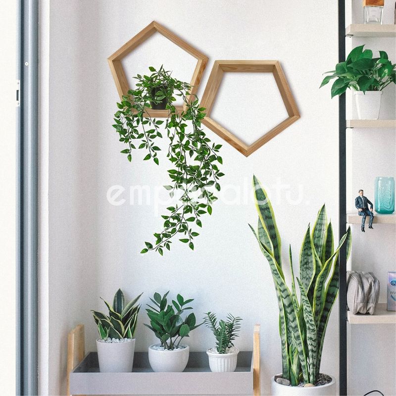 REPISA PENTAGONAL | MEDIANA