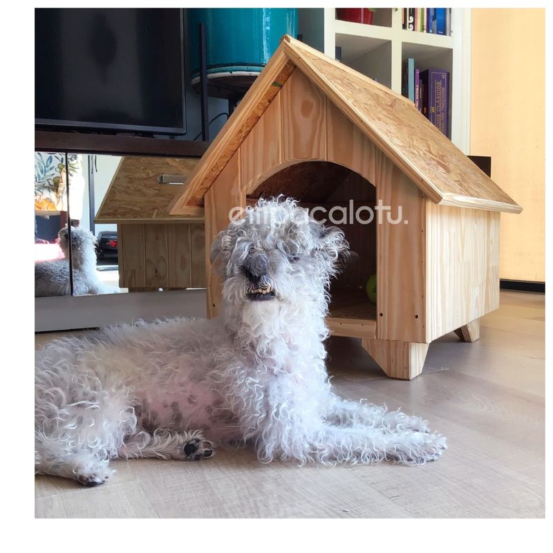 CASA DE MASCOTAS | TECHO REMOVILBE | MEDIANA