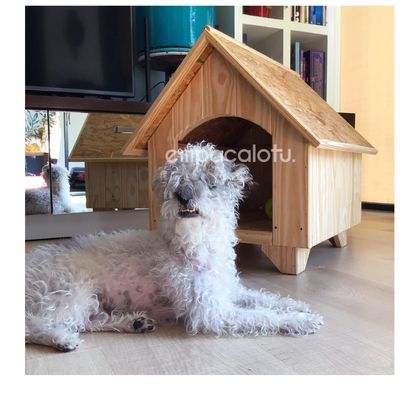 CASA DE MASCOTAS | TECHO REMOVILBE | MEDIANA