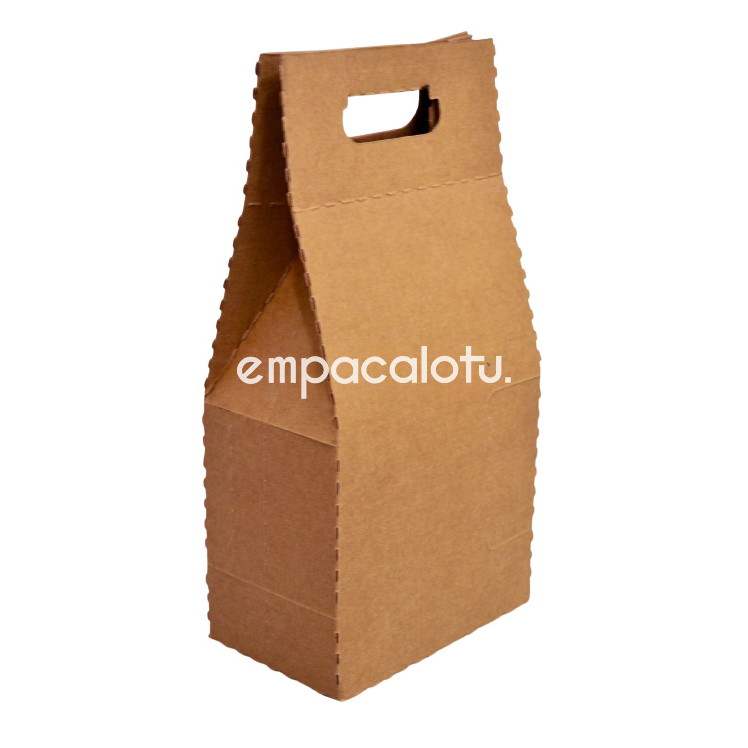 BOLSA DE CARTÓN LUNCH BAG | KIT C/12 PIEZAS
