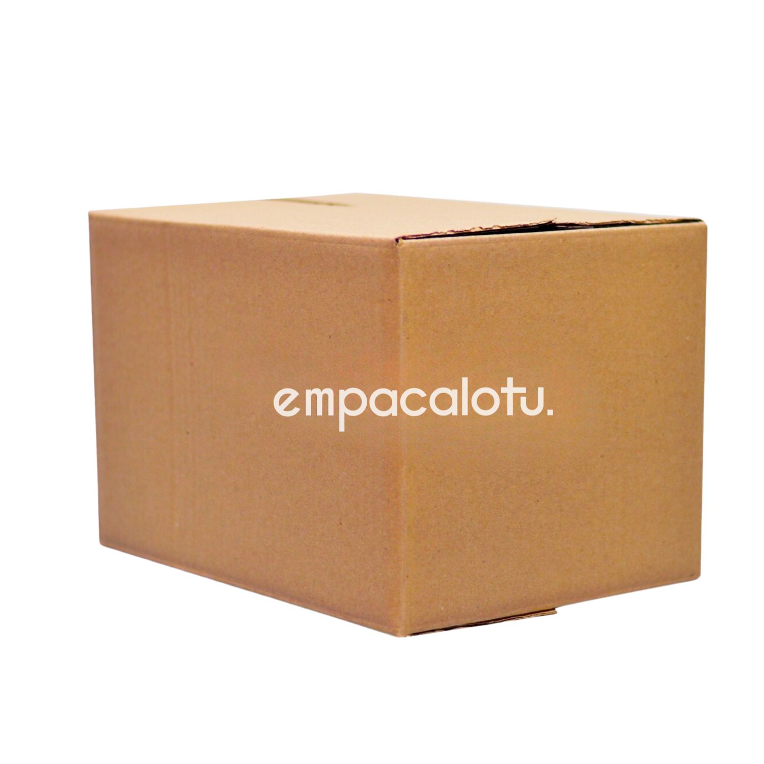 CAJA DE CARTÓN ESTÁNDAR | LIGERA | CHICA | CON ALAS | 31.8 x 22.3 x 20.4 cm | KIT C/12 PIEZAS