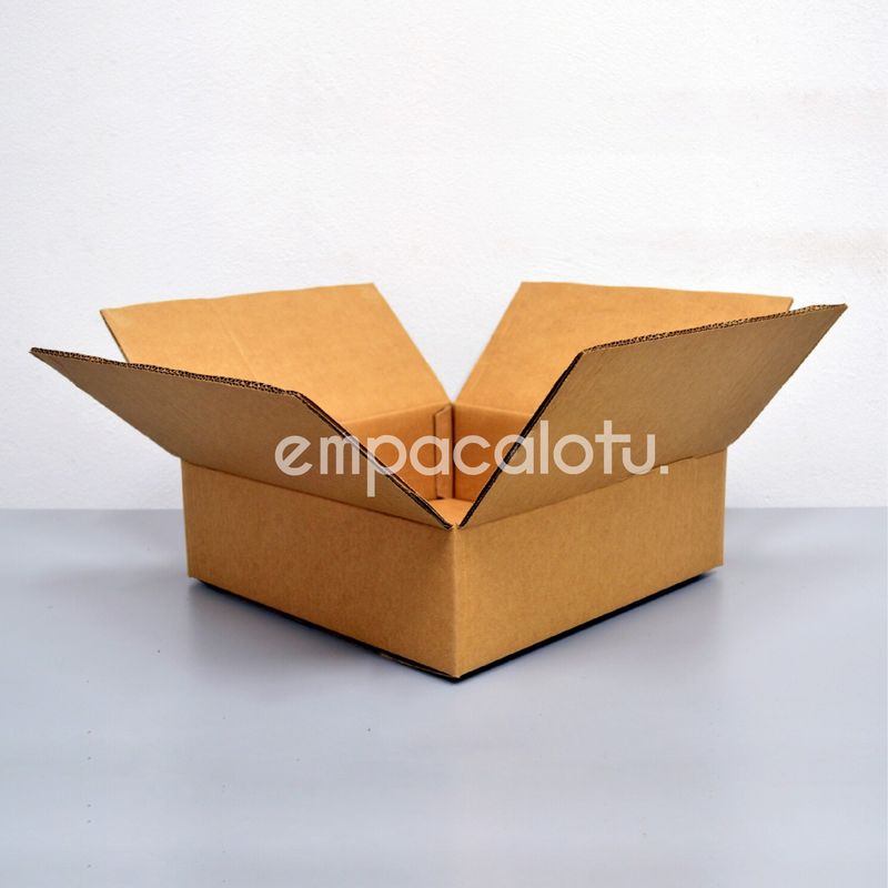 CAJA DE CARTÓN ESTÁNDAR | CON ALAS |27 x 27 x 11.5 cm | KIT C/12 PIEZAS
