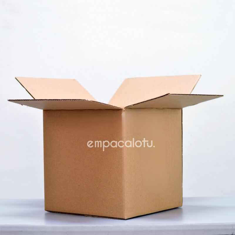 CAJA DE CARTÓN ESTÁNDAR | CHICA | CON/SIN FLECHA | CON ALAS | 20.5 x 20.5 x 17 cm | KIT C/12 PIEZAS