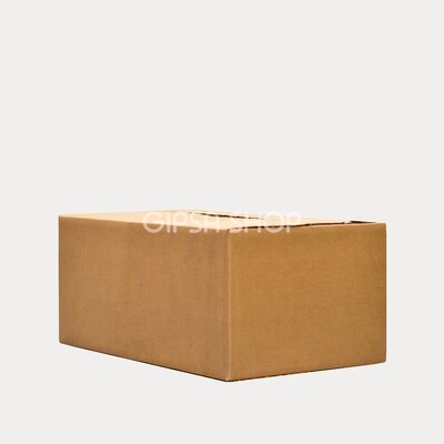 CAJA DE CARTÓN ESTÁNDAR | LIGERA | CON ALAS | 49 x 30 x 21 cm | KIT C/12 PIEZAS