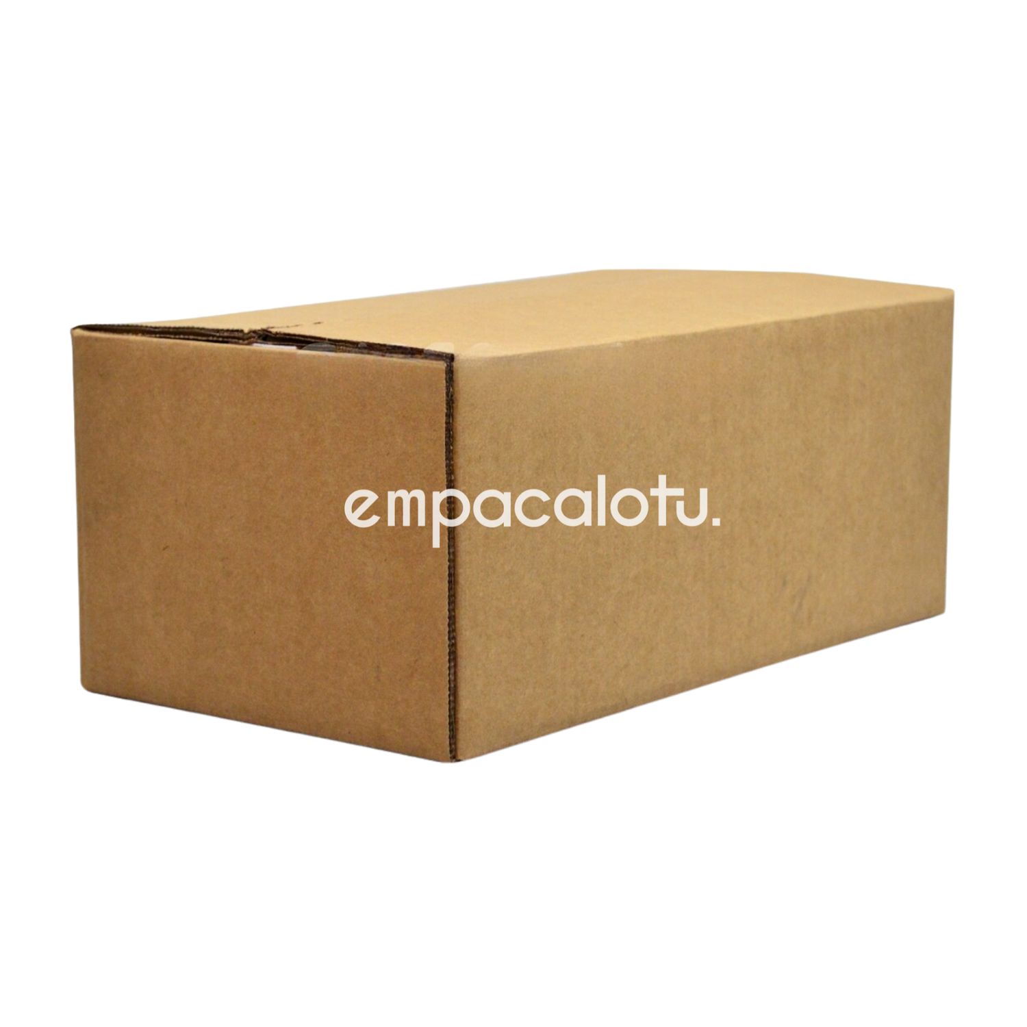 CAJA DE CARTÓN ESTÁNDAR | LIGERA | CON ALAS | 49 x 30 x 21 cm | KIT C/12 PIEZAS