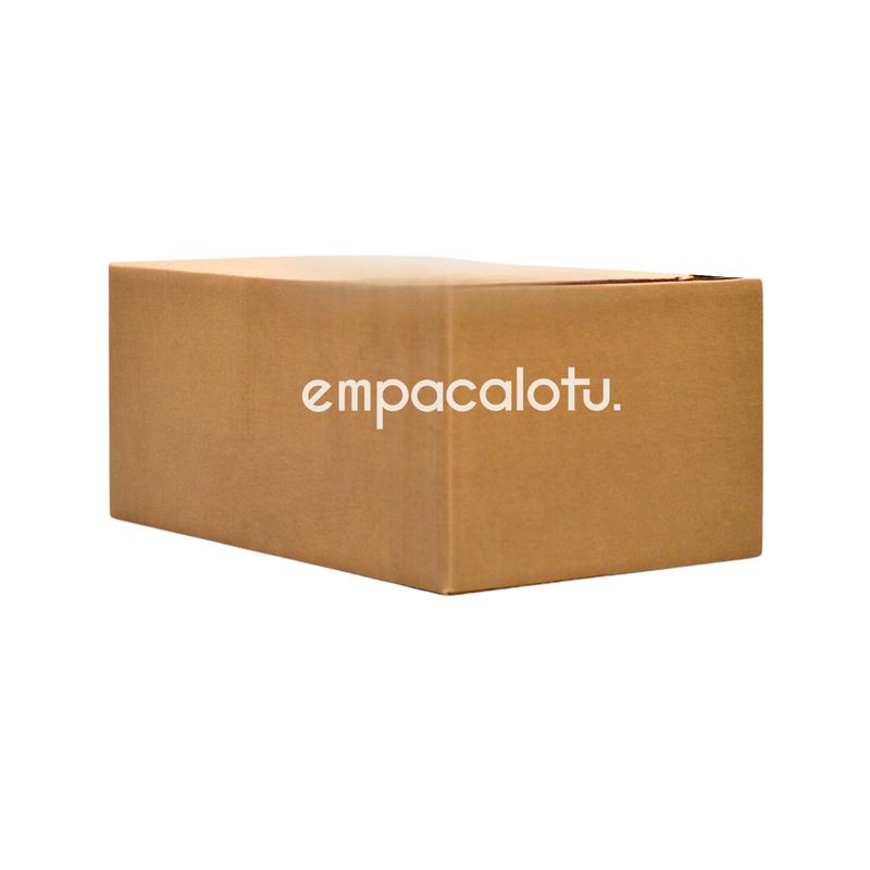CAJA DE CARTÓN ESTÁNDAR | LIGERA | CON ALAS | 49 x 30 x 21 cm | KIT C/12 PIEZAS