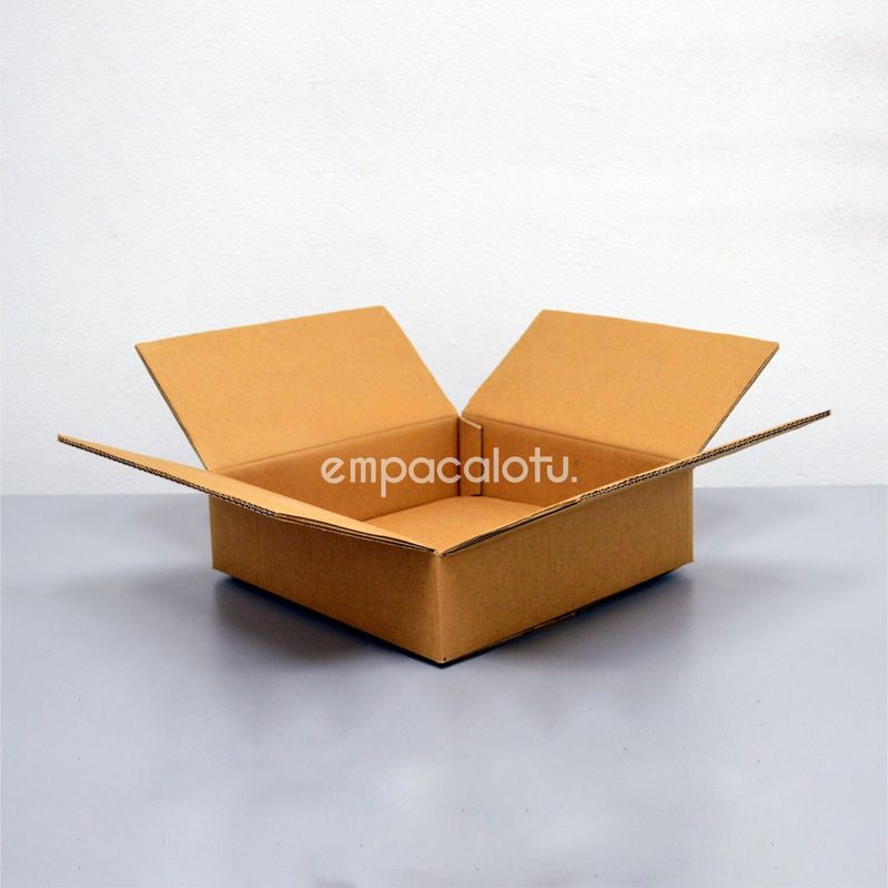 CAJA DE CARTÓN ESTÁNDAR | CHICA | LIGERA | CON ALAS | 35 x 35 x 13 cm | KIT C/12 PIEZAS