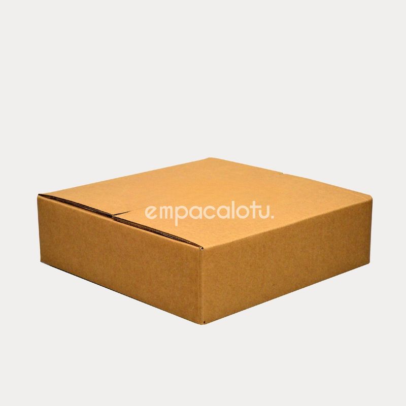 CAJA DE CARTÓN ESTÁNDAR | CHICA | LIGERA | CON ALAS | 35 x 35 x 13 cm | KIT C/12 PIEZAS