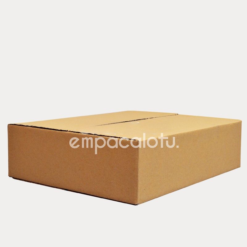 CAJA DE CARTÓN ESTÁNDAR | CON ALAS |50 x 41 x 13 cm | KIT C/12 PIEZAS