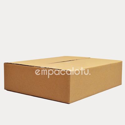 CAJA DE CARTÓN ESTÁNDAR | CON ALAS |50 x 41 x 13 cm | KIT C/12 PIEZAS