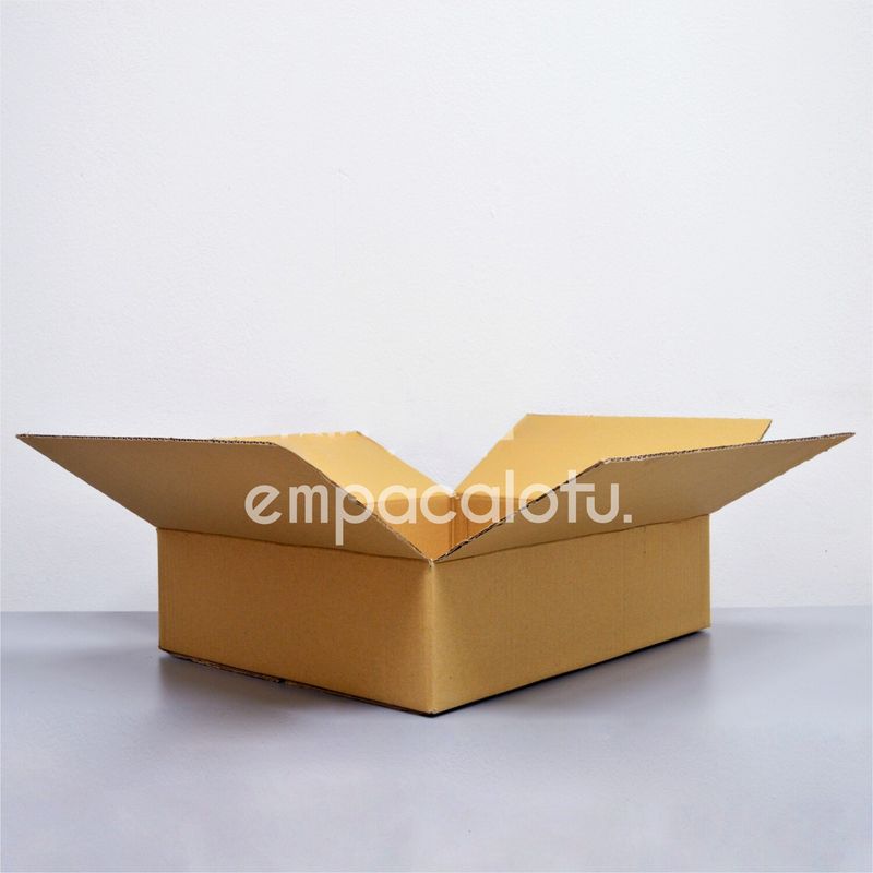 CAJA DE CARTÓN ESTÁNDAR | CON ALAS |50 x 41 x 13 cm | KIT C/12 PIEZAS