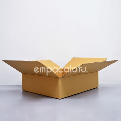 CAJA DE CARTÓN ESTÁNDAR | CON ALAS |50 x 41 x 13 cm | KIT C/12 PIEZAS