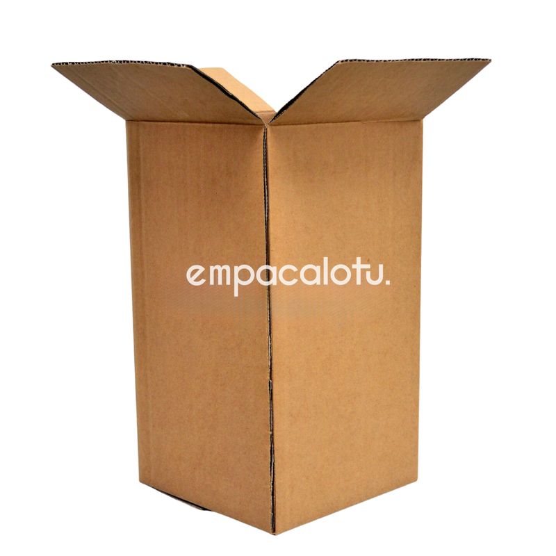 CAJA DE CARTÓN ESTÁNDAR | PARA GALÓN |CON ALAS | 15.5 x 15.5 x 29 cm | KIT C/12 PIEZAS