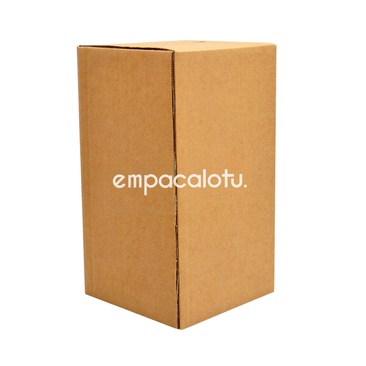CAJA DE CARTÓN ESTÁNDAR | PARA GALÓN |CON ALAS | 15.5 x 15.5 x 29 cm | KIT C/12 PIEZAS