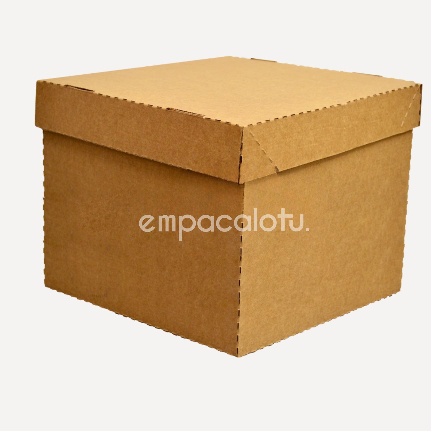 CAJA DE CARTÓN MAGIC BOX | PLEGABLE | GRANDE |30 x 30 x 25 cm | KIT C/12 PIEZAS
