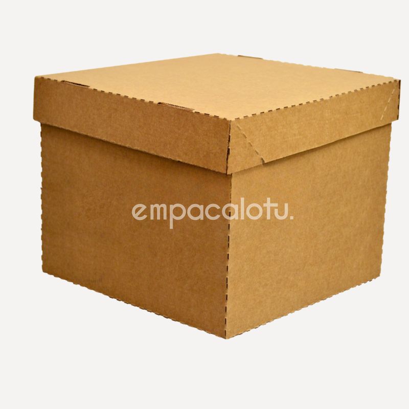 CAJA DE CARTÓN MAGIC BOX | PLEGABLE | GRANDE |30 x 30 x 25 cm | KIT C/12 PIEZAS