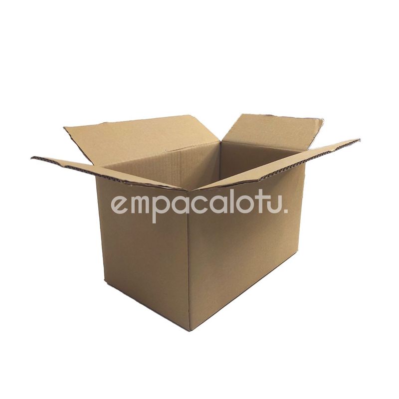 CAJA DE CARTÓN ESTÁNDAR | CON ALAS |32 x 20 x 20 cm | KIT C/12 PIEZAS