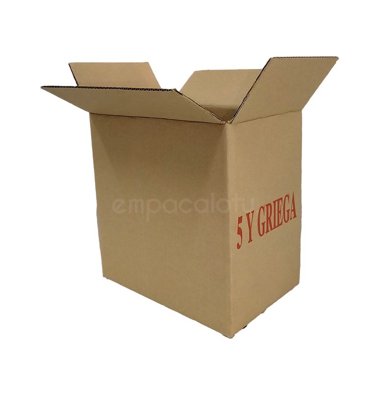 CAJA DE CARTÓN ESTÁNDAR | CON ALAS |31 x 20 x 31 cm | KIT C/12