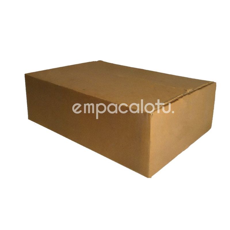 CAJA DE CARTÓN ESTÁNDAR | 30 x 22.2 x 8.8 cm | KIT C/12 PIEZAS