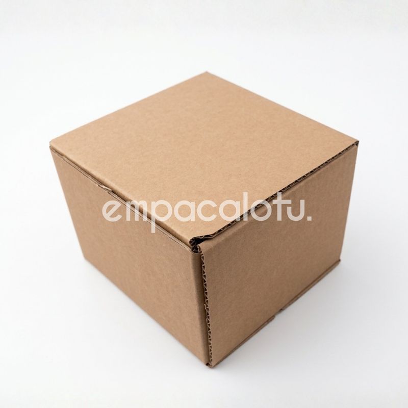 CAJA DE CARTÓN | AUTOMÁTICA | 16.5 x 11.5 x 15.5 cm | KIT C/12 PIEZAS
