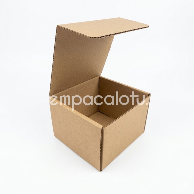 CAJA DE CARTÓN | AUTOMÁTICA | 16.5 x 11.5 x 15.5 cm | KIT C/12 PIEZAS