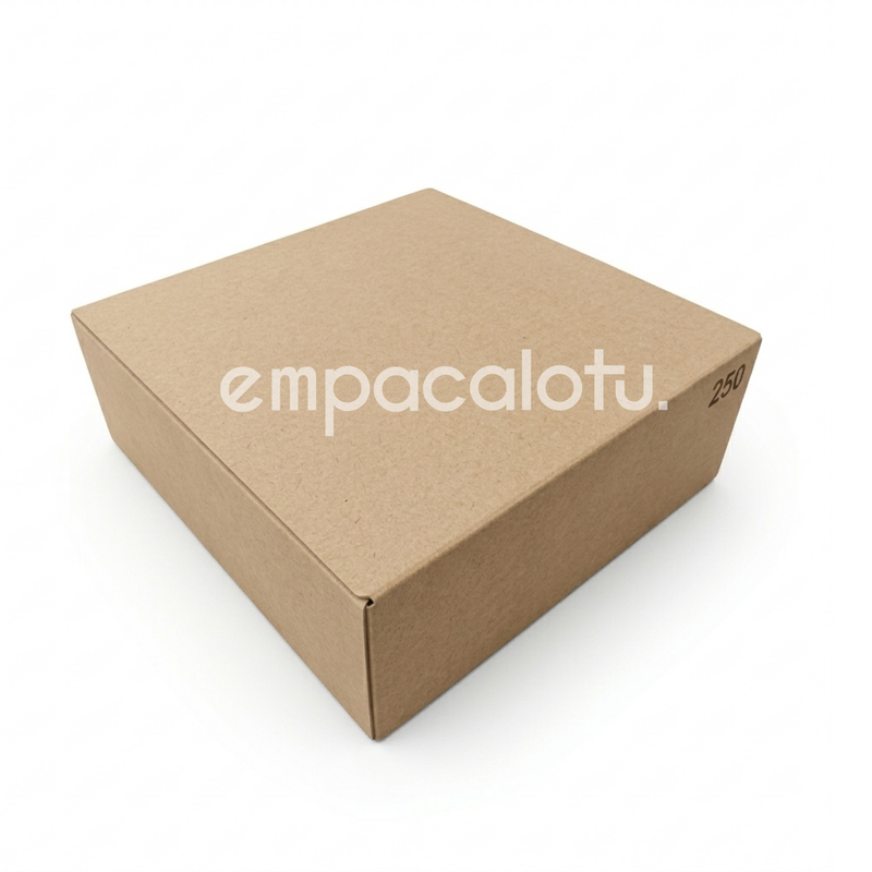 CAJA DE CARTÓN | AUTOMÁTICA | 27.8 x 28.5 x 10 cm | KIT C/12 PIEZAS