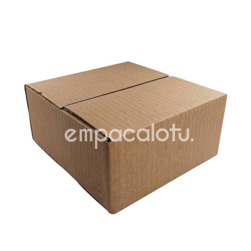 CAJA DE CARTÓN ESTÁNDAR | CON ALAS |19 x 19 x 9 cm