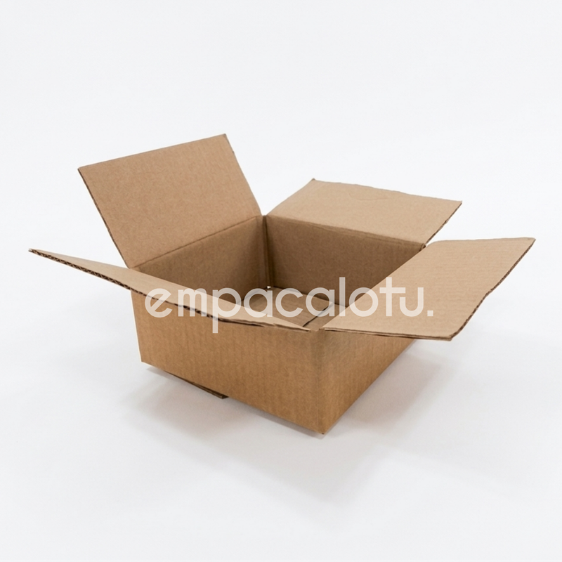CAJA DE CARTÓN ESTÁNDAR | CON ALAS |19 x 19 x 9 cm