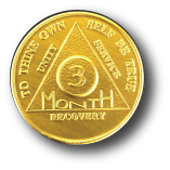Bronze Monthly Medallions
