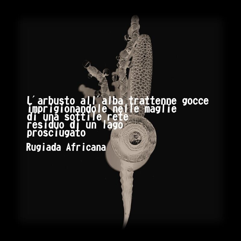 spilla "Rugiada Grigia"