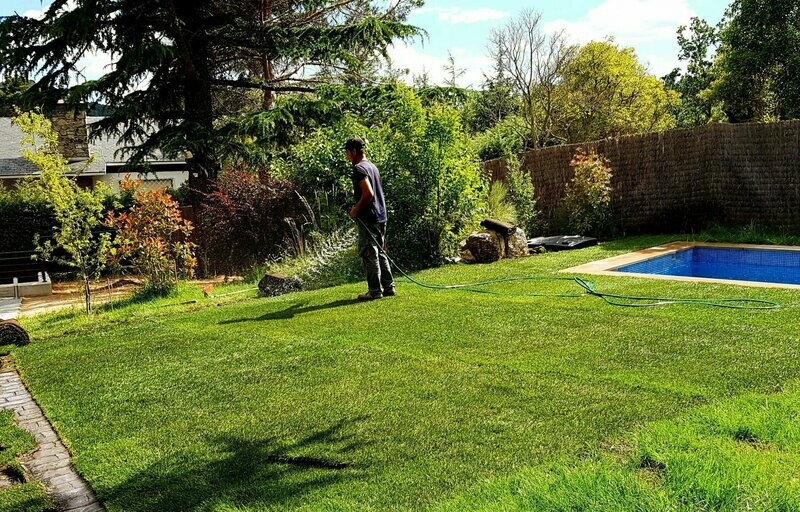 Césped natural en tepes  MEDITERRÁNEO 1m²​