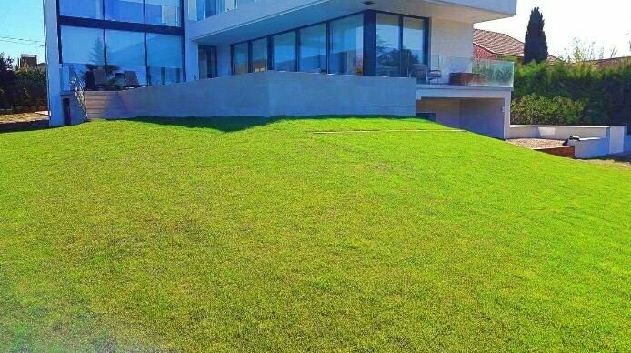 Césped natural en tepes modelo INGLÉS 1m²​