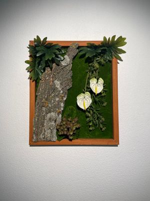Cuadros Jardines Verticales