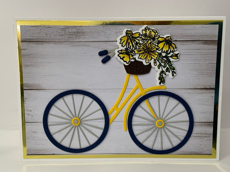 Bicycle Garden