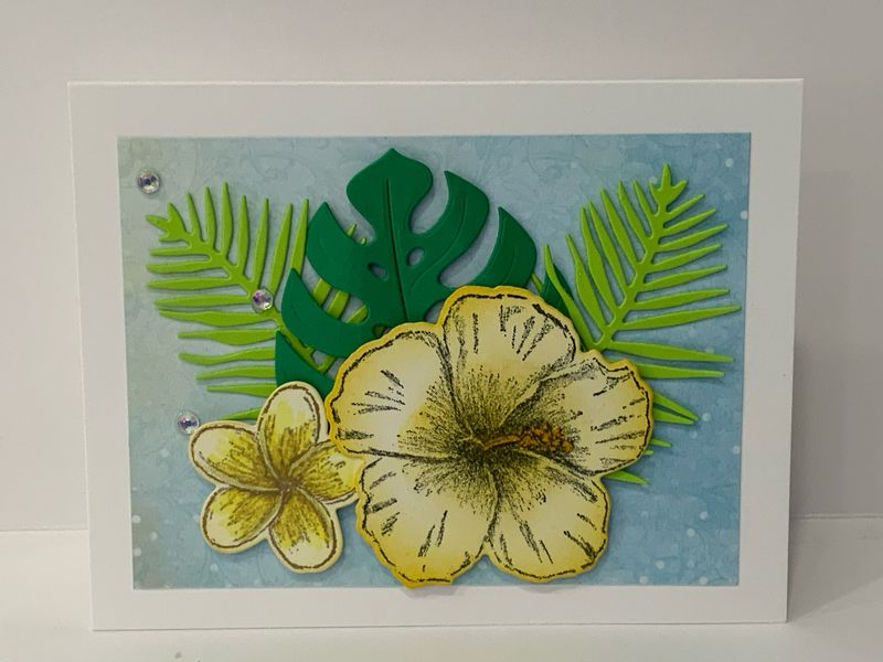 Tropical Card