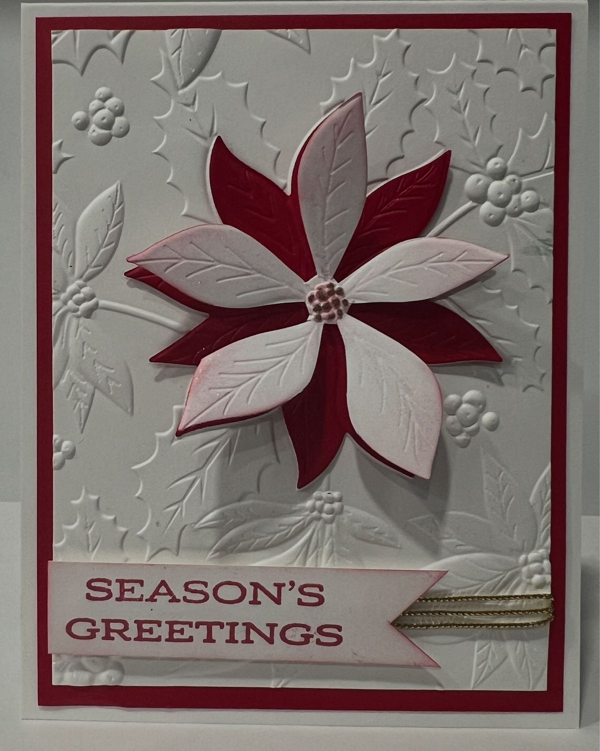 Christmas Poinsettia’s Wonder