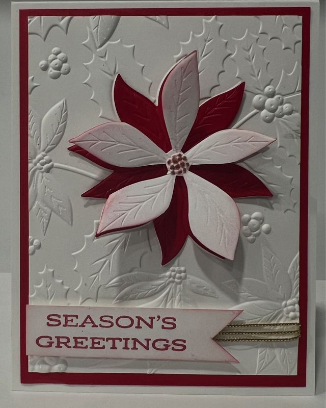 Christmas Poinsettia’s Wonder