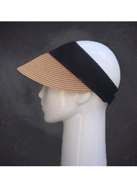 Sun Visor