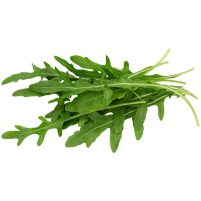 Heirloom Arugula Salad Microgreen - Individual Seed Pack