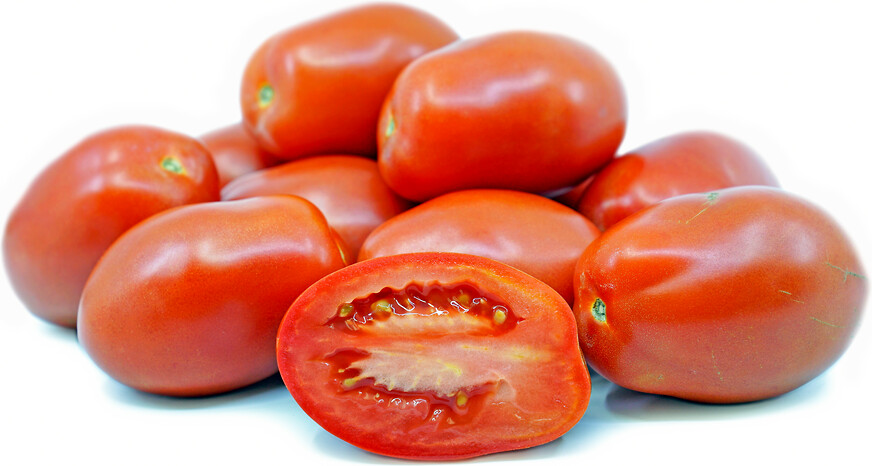 Heirloom Roma Tomato VF - Individual Seed Pack