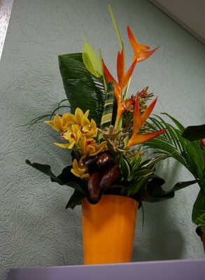 Compositions florales