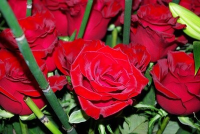 A composer (à la tige)