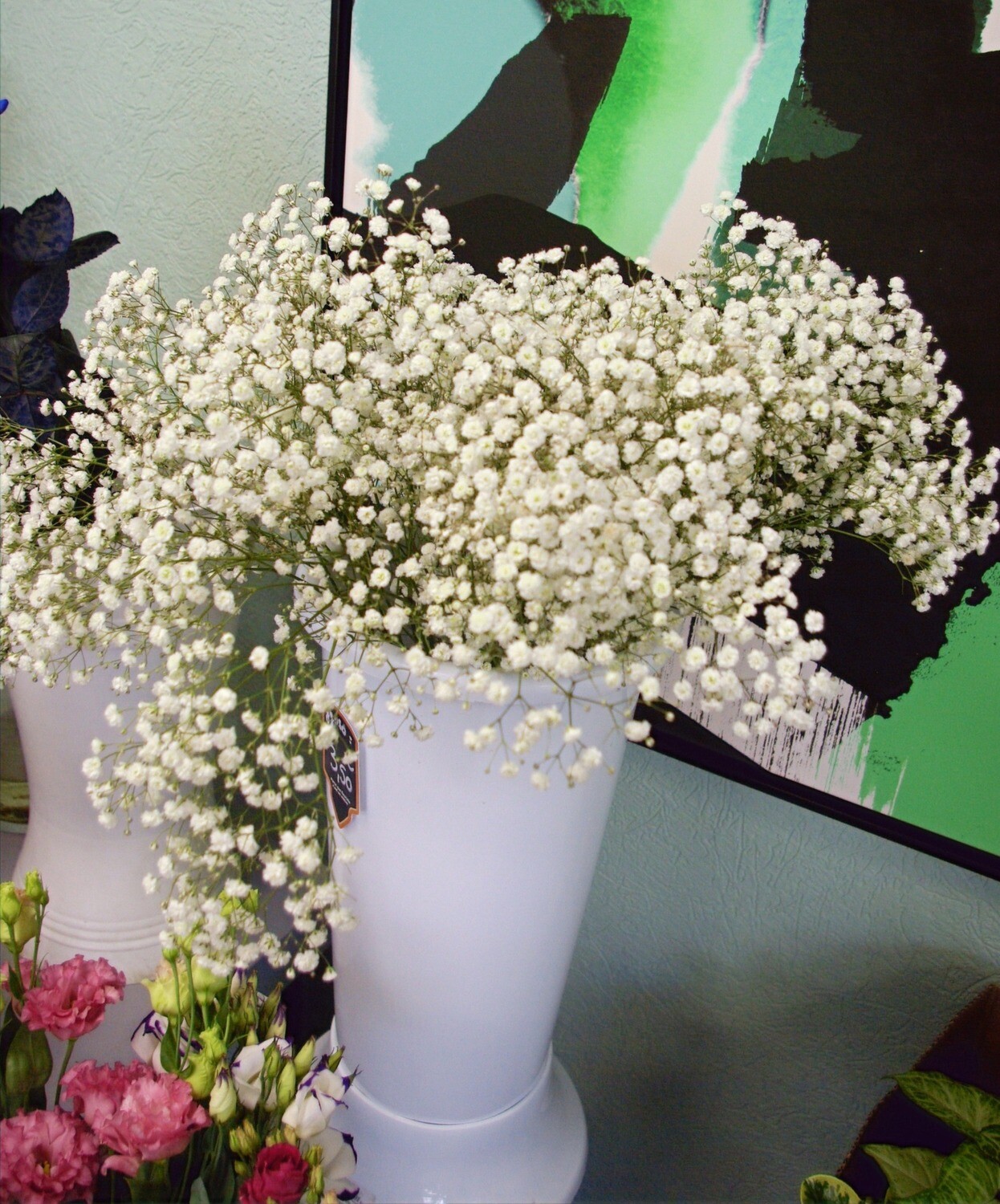 Gypsophile (à l'unité)