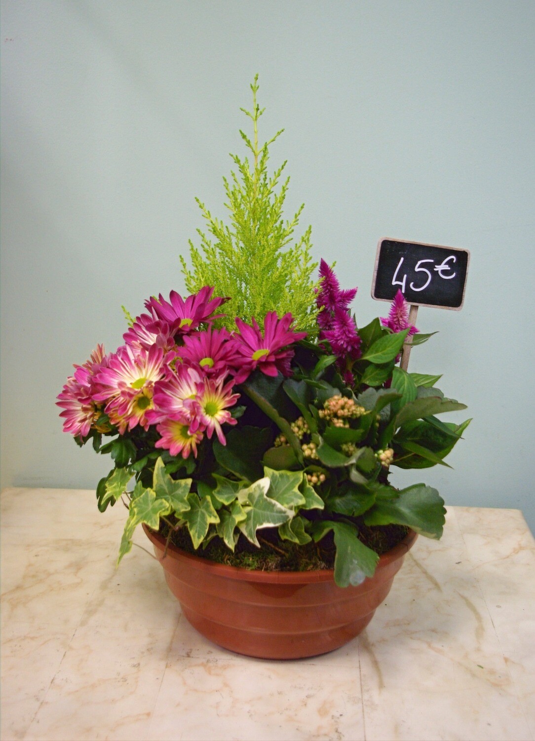 Coupe de plantes