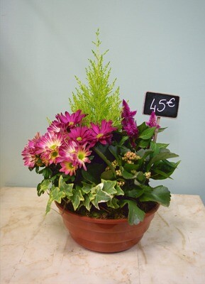 Coupe de plantes