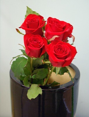 Roses Rouges