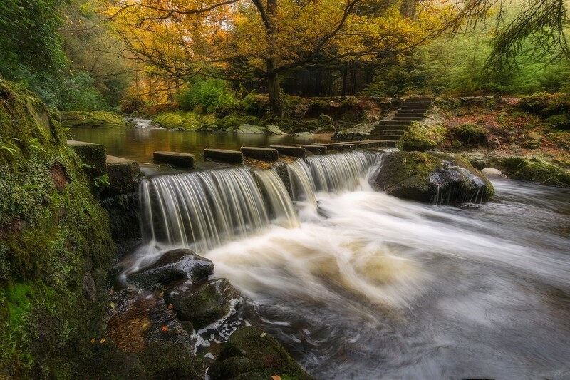 Stepping Stones -  Tollymore Forest - Northern Ireland