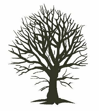 Stempel nr. 8 rimboeboom