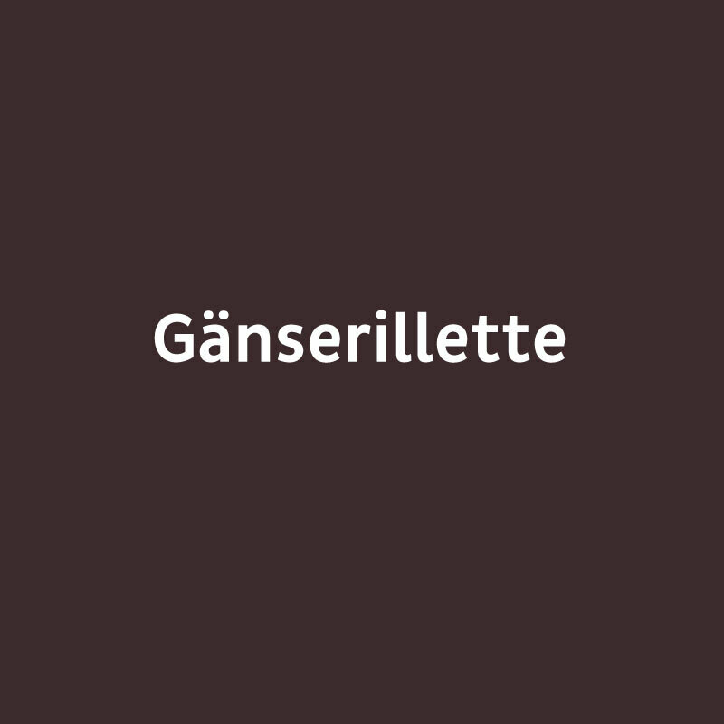 GÄNSERILLETTE (400gr.) GÄNSERILLETTE (400gr.)