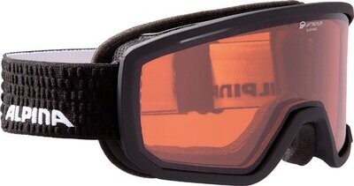Skibrille Alpina SCARABEO L Quadroflex black-grey